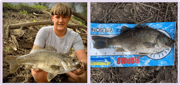 Max van Zyl catches an Australian Bass in the Tuross river